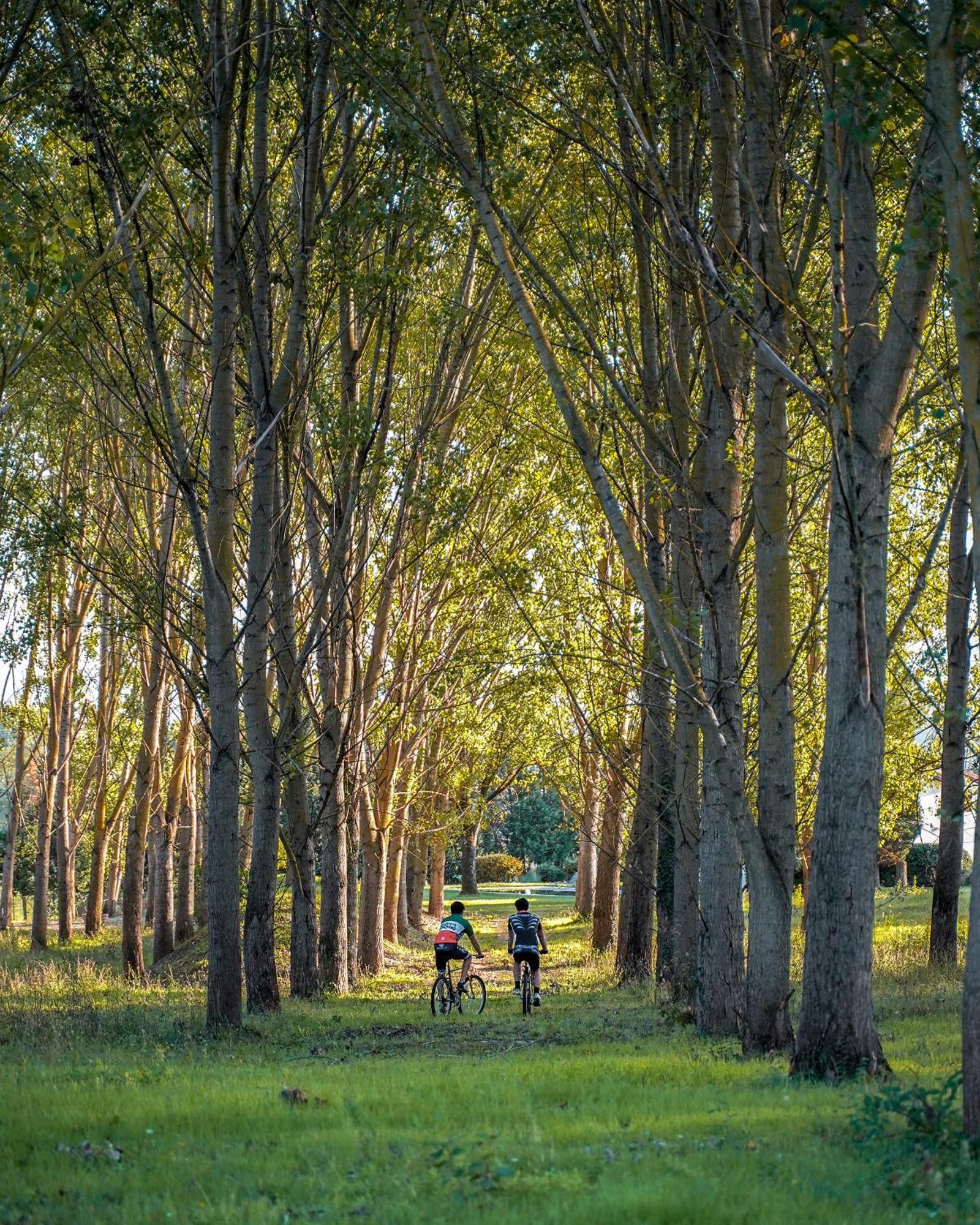 VIESCA Suites&Villas Il Borro Toscana Reggello Esterno foto